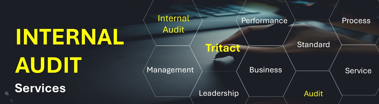 Internal Audit Services